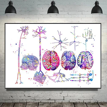 מודולרי המוח אמנות קיר תמונות בד הציור מערכת העצבים הדפסות פוסטרים אנטומיה נוירונים עבור Office חדר בבית Cuadros עיצוב