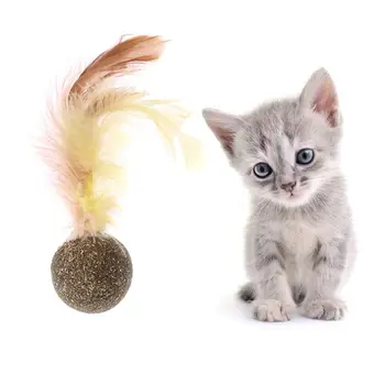 הטבע חתלתול חתול תכונה צעצוע ניקוי שיניים לחתול נפית החתולים הכדור אביזרים לחיות מחמד